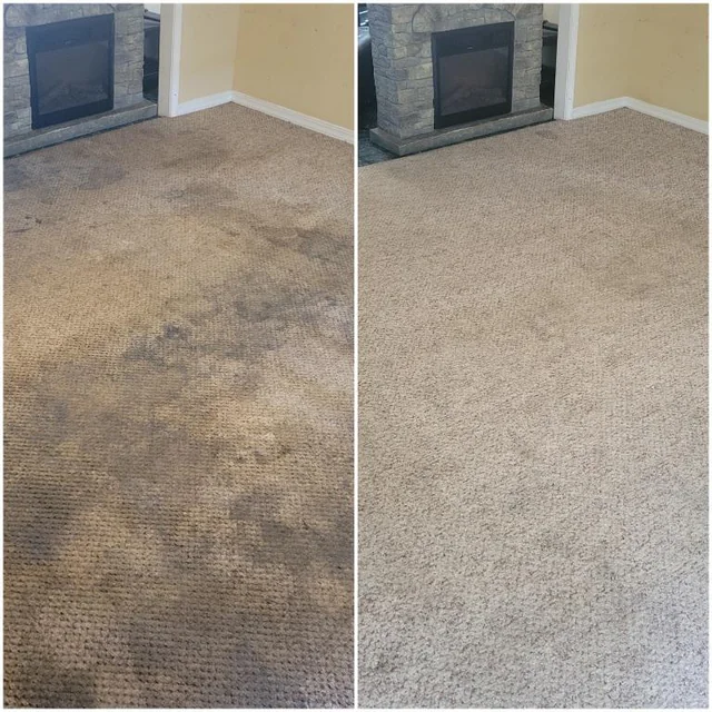 Living Room Carpet