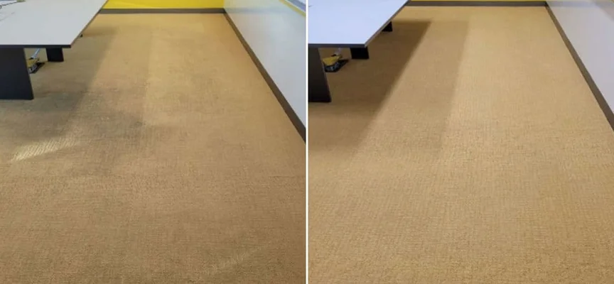 Dining Room Carpet